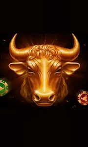 Bull's Club