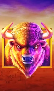 Buffalo King